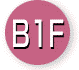 b1f